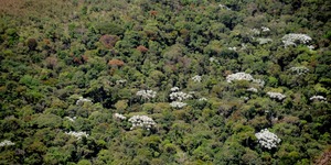 Unveil 8a21a6f614db065bb1ca2c21a5c803aede783f93e5277febbd47f37d9dbae4ca