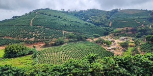 Unveil 8a21a6f614db065bb1ca2c21a5c803aede783f93e5277febbd47f37d9dbae4ca