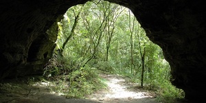 Unveil 8a21a6f614db065bb1ca2c21a5c803aede783f93e5277febbd47f37d9dbae4ca