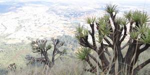 Unveil 8a21a6f614db065bb1ca2c21a5c803aede783f93e5277febbd47f37d9dbae4ca