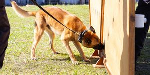 Unveil 8a21a6f614db065bb1ca2c21a5c803aede783f93e5277febbd47f37d9dbae4ca