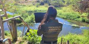 Unveil 8a21a6f614db065bb1ca2c21a5c803aede783f93e5277febbd47f37d9dbae4ca