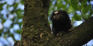 Unveil 8a21a6f614db065bb1ca2c21a5c803aede783f93e5277febbd47f37d9dbae4ca