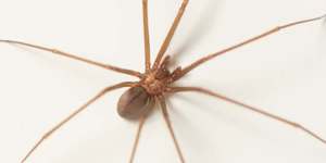 Unveil 8a21a6f614db065bb1ca2c21a5c803aede783f93e5277febbd47f37d9dbae4ca