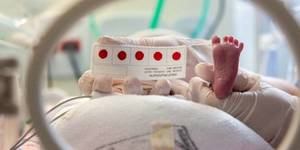 Unveil 8a21a6f614db065bb1ca2c21a5c803aede783f93e5277febbd47f37d9dbae4ca