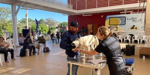 Unveil 8a21a6f614db065bb1ca2c21a5c803aede783f93e5277febbd47f37d9dbae4ca