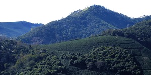 Unveil 8a21a6f614db065bb1ca2c21a5c803aede783f93e5277febbd47f37d9dbae4ca