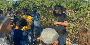 Unveil 8a21a6f614db065bb1ca2c21a5c803aede783f93e5277febbd47f37d9dbae4ca