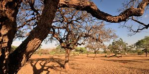 Unveil 8a21a6f614db065bb1ca2c21a5c803aede783f93e5277febbd47f37d9dbae4ca