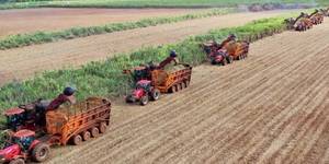 Unveil 8a21a6f614db065bb1ca2c21a5c803aede783f93e5277febbd47f37d9dbae4ca