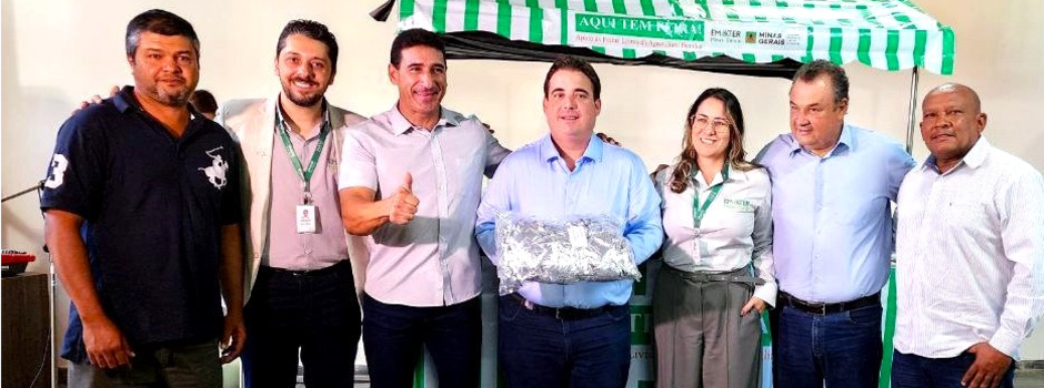 imagem de destaque