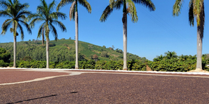 Unveil 8a21a6f614db065bb1ca2c21a5c803aede783f93e5277febbd47f37d9dbae4ca