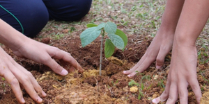 Unveil 8a21a6f614db065bb1ca2c21a5c803aede783f93e5277febbd47f37d9dbae4ca