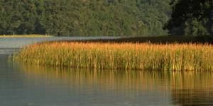 Unveil 8a21a6f614db065bb1ca2c21a5c803aede783f93e5277febbd47f37d9dbae4ca