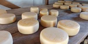 Unveil 8a21a6f614db065bb1ca2c21a5c803aede783f93e5277febbd47f37d9dbae4ca