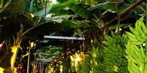 Unveil 8a21a6f614db065bb1ca2c21a5c803aede783f93e5277febbd47f37d9dbae4ca