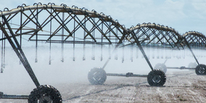 Unveil 8a21a6f614db065bb1ca2c21a5c803aede783f93e5277febbd47f37d9dbae4ca