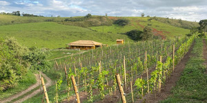 Unveil 8a21a6f614db065bb1ca2c21a5c803aede783f93e5277febbd47f37d9dbae4ca