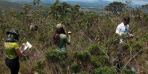 Unveil 8a21a6f614db065bb1ca2c21a5c803aede783f93e5277febbd47f37d9dbae4ca