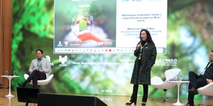 Unveil 8a21a6f614db065bb1ca2c21a5c803aede783f93e5277febbd47f37d9dbae4ca