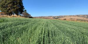 Unveil 8a21a6f614db065bb1ca2c21a5c803aede783f93e5277febbd47f37d9dbae4ca