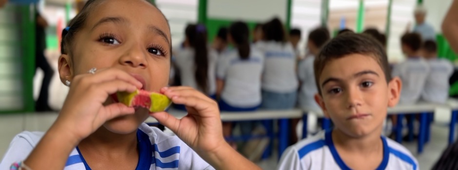 imagem de destaque