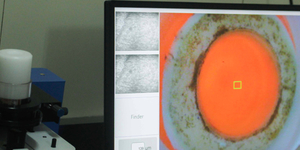 Unveil 8a21a6f614db065bb1ca2c21a5c803aede783f93e5277febbd47f37d9dbae4ca