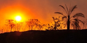 Unveil 8a21a6f614db065bb1ca2c21a5c803aede783f93e5277febbd47f37d9dbae4ca