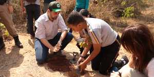 Unveil 8a21a6f614db065bb1ca2c21a5c803aede783f93e5277febbd47f37d9dbae4ca