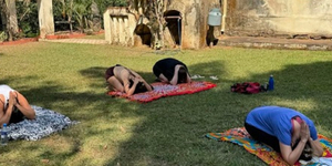 Unveil 8a21a6f614db065bb1ca2c21a5c803aede783f93e5277febbd47f37d9dbae4ca