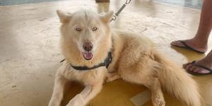 Unveil 8a21a6f614db065bb1ca2c21a5c803aede783f93e5277febbd47f37d9dbae4ca