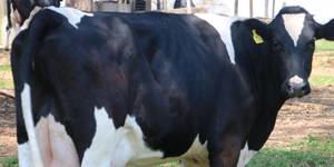 Unveil 8a21a6f614db065bb1ca2c21a5c803aede783f93e5277febbd47f37d9dbae4ca