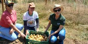 Unveil 8a21a6f614db065bb1ca2c21a5c803aede783f93e5277febbd47f37d9dbae4ca