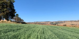 Unveil 8a21a6f614db065bb1ca2c21a5c803aede783f93e5277febbd47f37d9dbae4ca