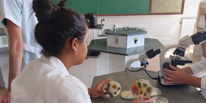 Unveil 8a21a6f614db065bb1ca2c21a5c803aede783f93e5277febbd47f37d9dbae4ca