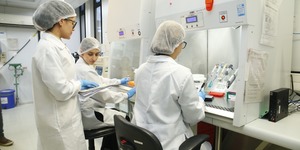 Unveil 8a21a6f614db065bb1ca2c21a5c803aede783f93e5277febbd47f37d9dbae4ca