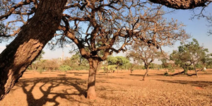 Unveil 8a21a6f614db065bb1ca2c21a5c803aede783f93e5277febbd47f37d9dbae4ca