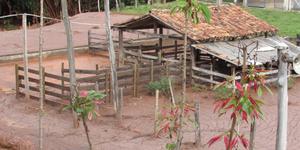 Unveil 8a21a6f614db065bb1ca2c21a5c803aede783f93e5277febbd47f37d9dbae4ca