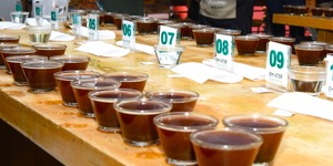 Unveil 8a21a6f614db065bb1ca2c21a5c803aede783f93e5277febbd47f37d9dbae4ca