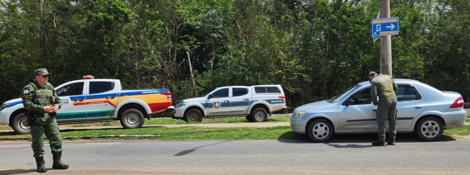 imagem de destaque