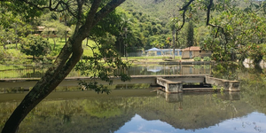 Unveil 8a21a6f614db065bb1ca2c21a5c803aede783f93e5277febbd47f37d9dbae4ca