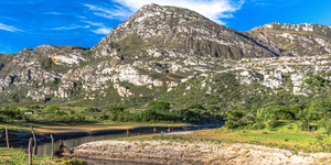 Unveil 8a21a6f614db065bb1ca2c21a5c803aede783f93e5277febbd47f37d9dbae4ca