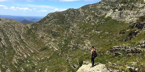 Unveil 8a21a6f614db065bb1ca2c21a5c803aede783f93e5277febbd47f37d9dbae4ca