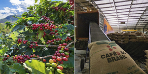 Unveil 8a21a6f614db065bb1ca2c21a5c803aede783f93e5277febbd47f37d9dbae4ca