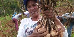 Unveil 8a21a6f614db065bb1ca2c21a5c803aede783f93e5277febbd47f37d9dbae4ca