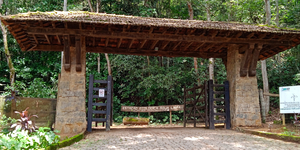 Unveil 8a21a6f614db065bb1ca2c21a5c803aede783f93e5277febbd47f37d9dbae4ca