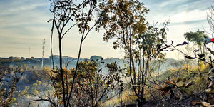 Unveil 8a21a6f614db065bb1ca2c21a5c803aede783f93e5277febbd47f37d9dbae4ca