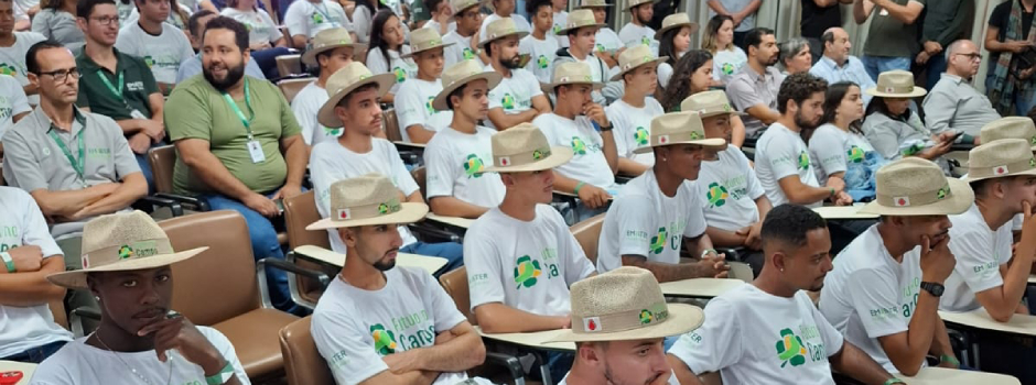 imagem de destaque