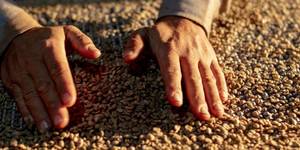 Unveil 8a21a6f614db065bb1ca2c21a5c803aede783f93e5277febbd47f37d9dbae4ca