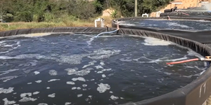 Unveil 8a21a6f614db065bb1ca2c21a5c803aede783f93e5277febbd47f37d9dbae4ca